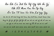 Professor, a Script Font by Three Islands Press (Thumbnail 2 of 5)