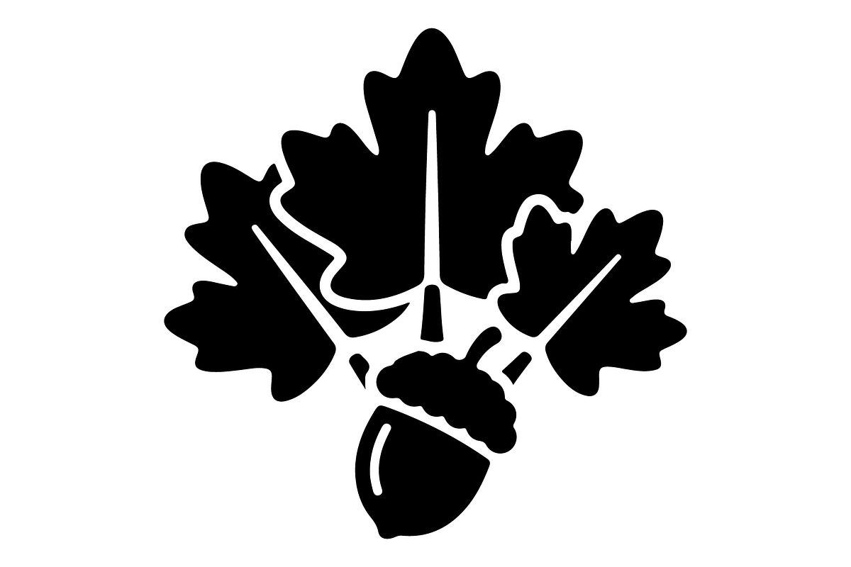 Maple Leaf Acorn Autumn, an Object Graphic by Gfx_Store (Photo 7 of 18)