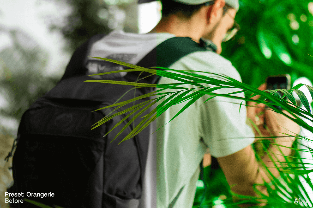 Green Summer - 5 Lightroom Presets, an Action Add-On by maximakesthings (Photo 3 of 5)