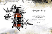 Floral Aromatic Vector Illustrations, an Object Graphic by Yevheniia (Thumbnail 3 of 7)