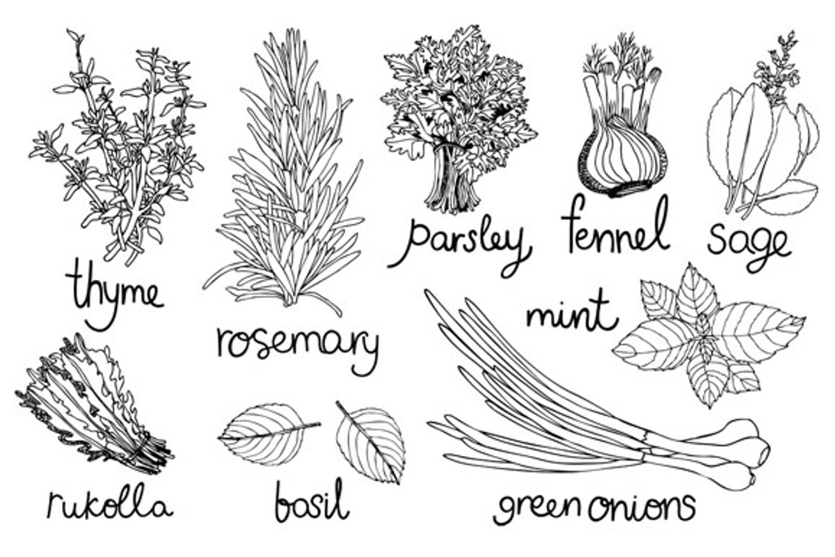 Culinary herbs set preview 2