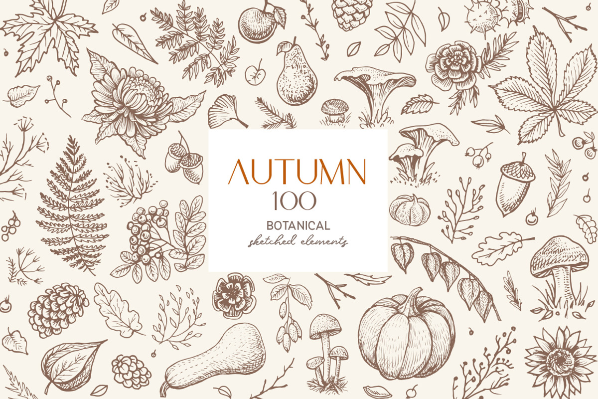 Autumn botanical sketches, a Decorative Illustration by Aquatinta (Photo 1 of 8)
