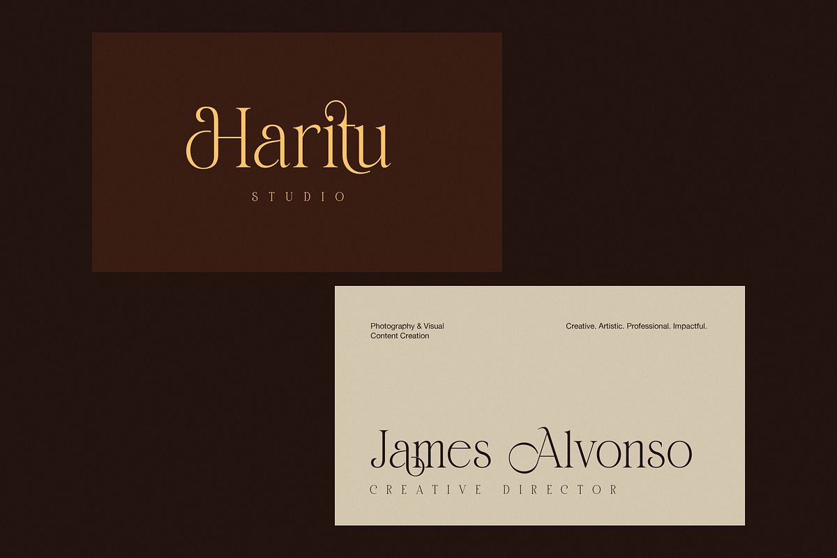 Damita Elegant Serif Display Font, a Serif Font by Perfectype (Photo 3 of 8)