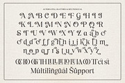 Miracle Shades - Modern Display, a Serif Font by Shakira Studio (Thumbnail 9 of 10)