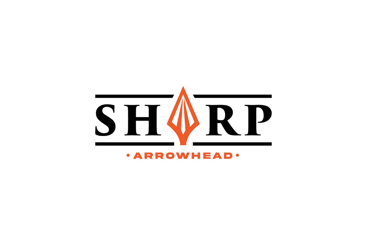 Sharp Arrowhead Logo Design, a Branding & Logo Template by funpixel
