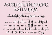 Manifestations Script Font, a Script Font by theinkaffair (Thumbnail 8 of 11)