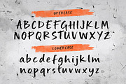 Salosa Linea – Bold Brush Display, a Handwritten Font by decographstud (Thumbnail 8 of 8)