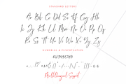 Bernaillo, a Script Font by Pen Culture (Thumbnail 8 of 10)
