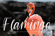 Teracota Strokes, a Script Font by Integritype Studio (Thumbnail 4 of 15)