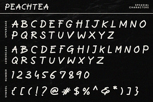 Peachtea Modern Handwritten Font