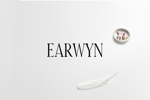 Earwyn Serif 3 Font Family Pack, a Serif Font by Creativetacos