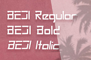 Beji Regular - Japan Style Font, a Symbol Font by NOX Labs (Thumbnail 4 of 5)