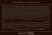 Marcellus Pro, a Serif Font by Stiggy & Sands (Thumbnail 9 of 9)