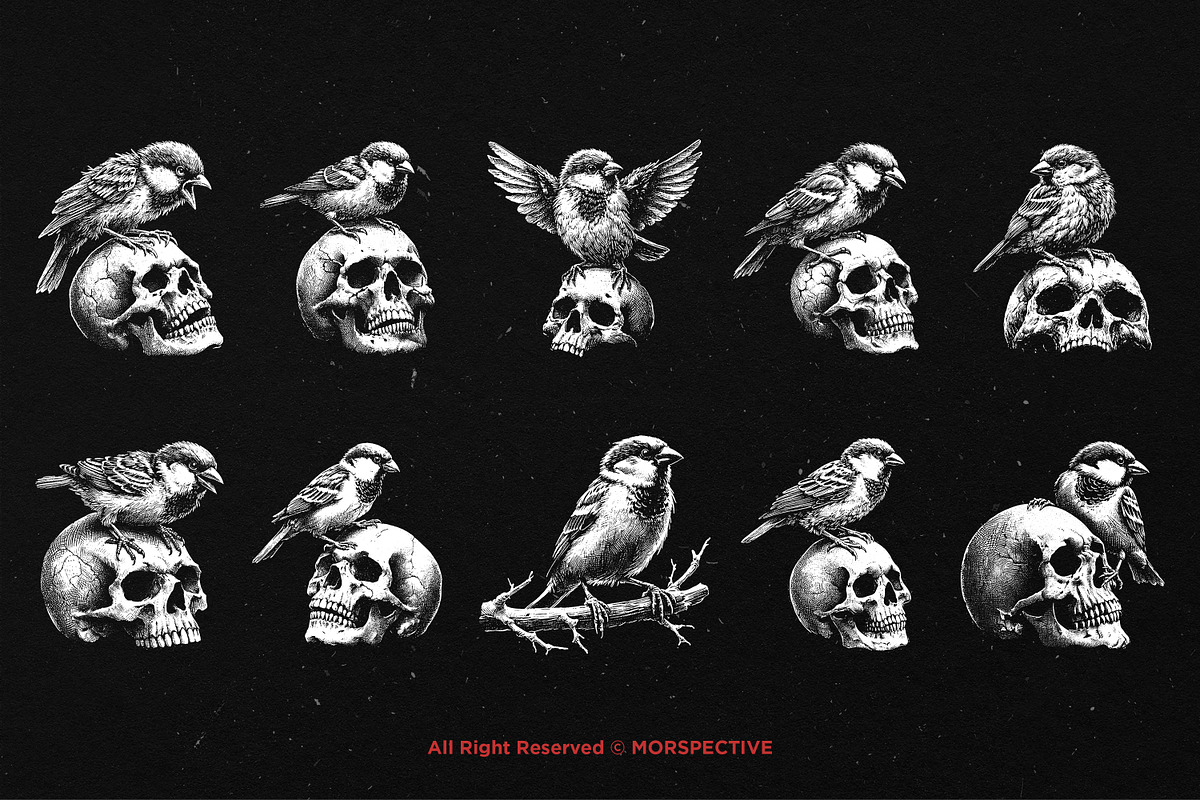 10 Bundle Dark Art Sparrow Bird, an Illustration by Morspective (Photo 6 of 7)