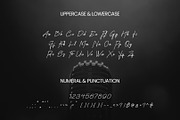 Podlux Harmocast - Handwritten Font, a Handwritten Font by ArtiXLabs (Thumbnail 10 of 11)