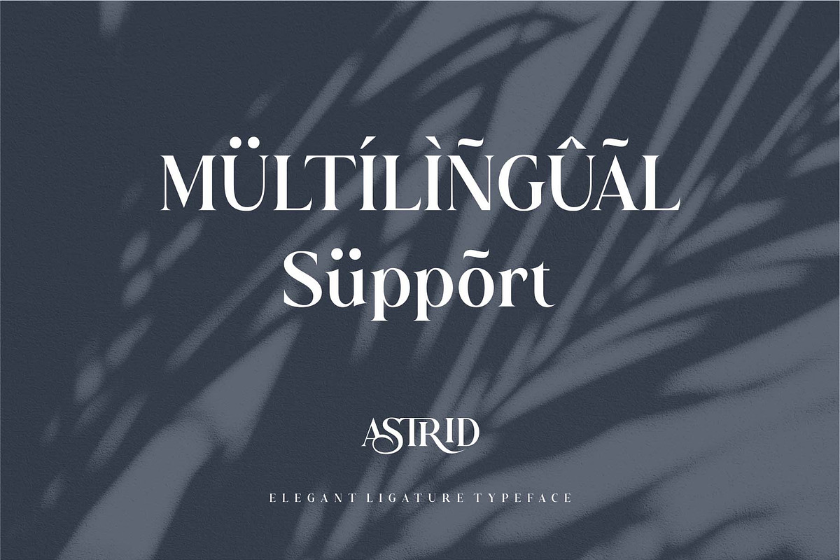 Astrid Elegant Ligature Typeface, a Serif Font by Dylla_studio (Photo 11 of 12)