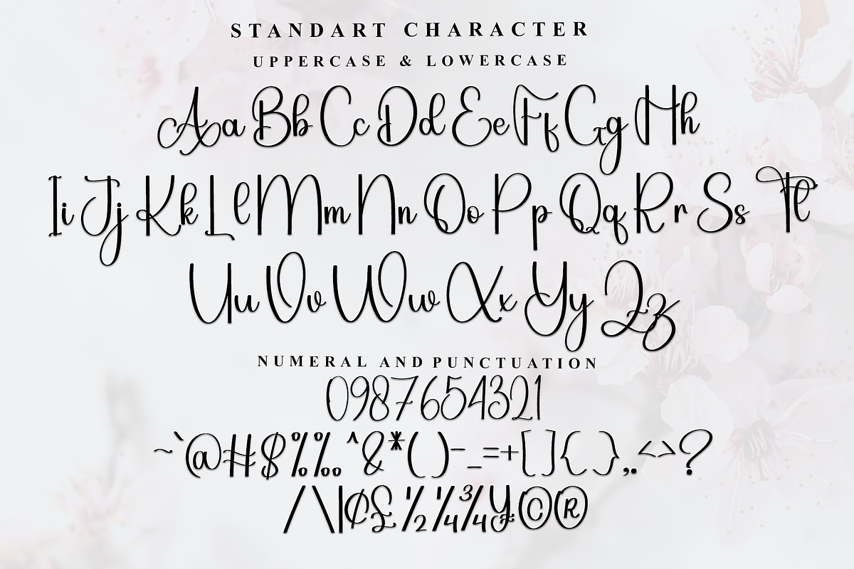 Angela, a Handwritten Font by InermediaSTUDIO (Photo 3 of 7)