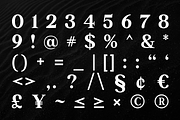 Haute - Boutique Serif Font, a Serif Font by Surplus Type Co (Thumbnail 4 of 7)