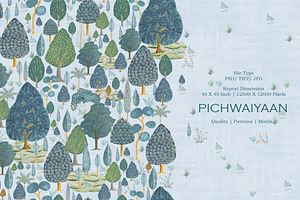 Pichwaiyaan Patterns & Motifs