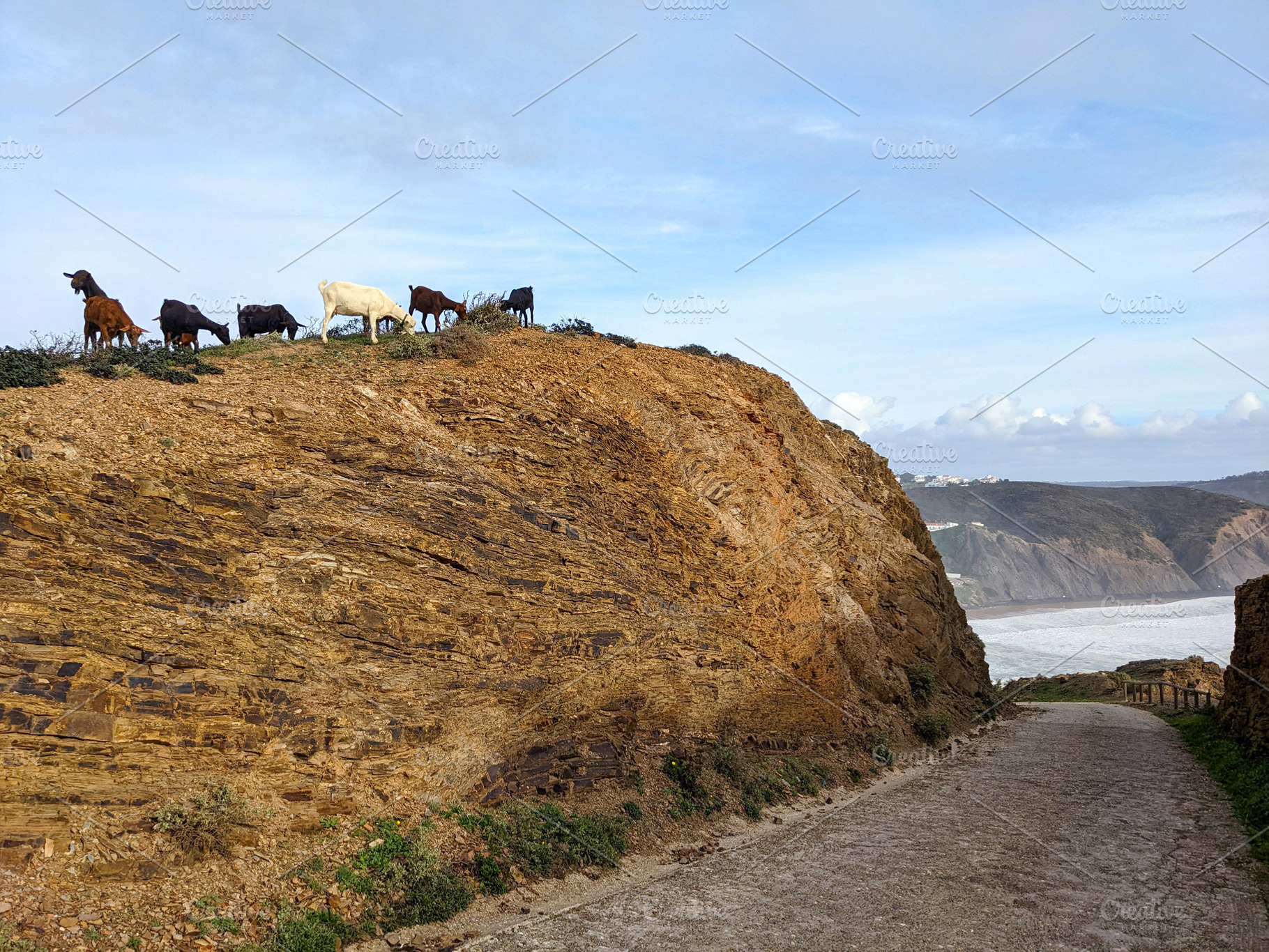 Goats cliff ocean  Aljezur Portugal, an Architecture Photo by joyt