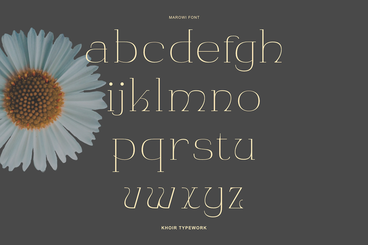 Marowi Font, a Serif Font by Khoir (Photo 8 of 9)