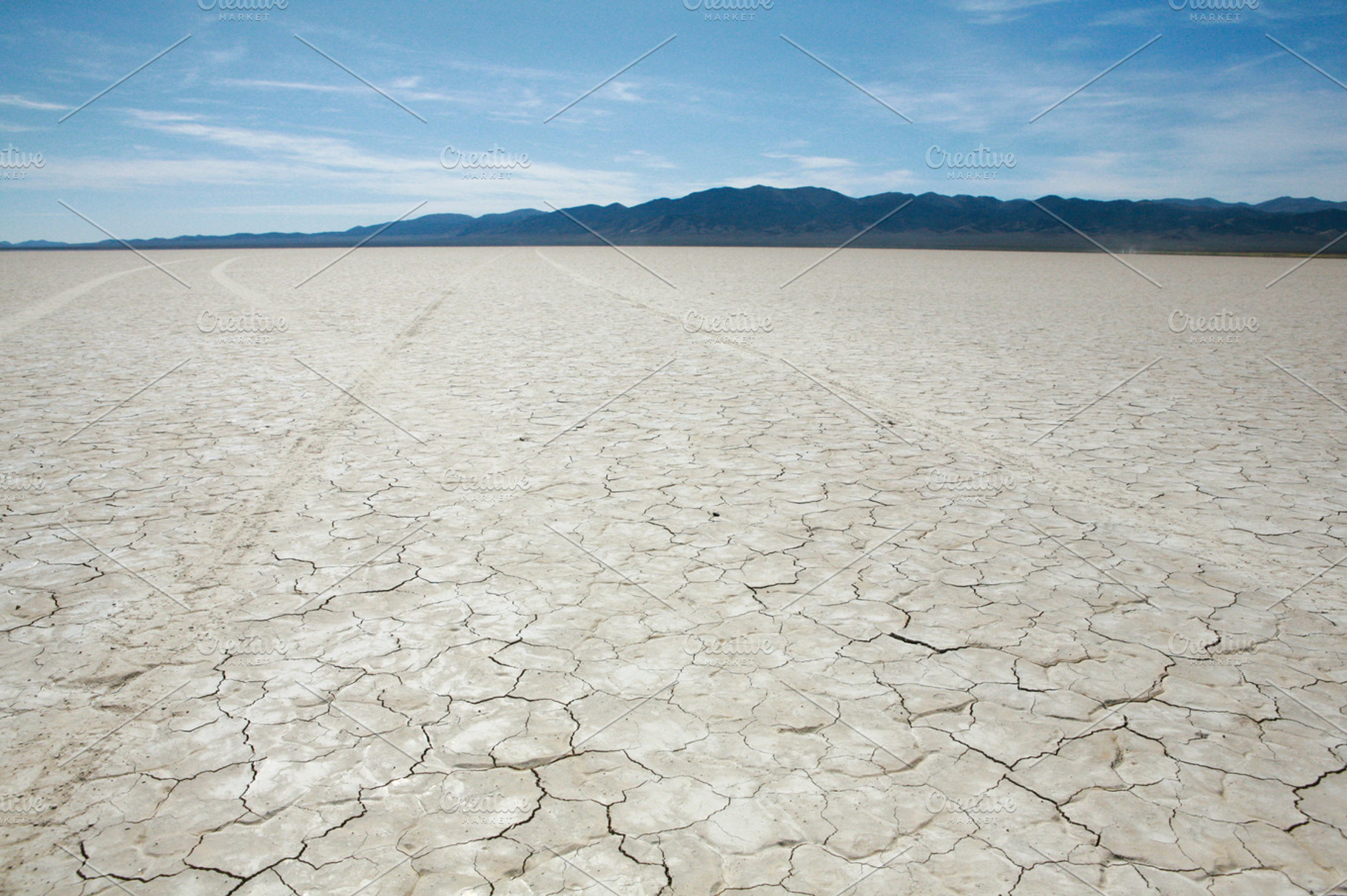 Cracked Earth Stock Picture