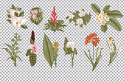 28 Exotic flowers., a Decorative Illustration by olga.korneeva (Thumbnail 5 of 5)