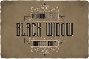 Black Widow Typeface, a Serif Font by VozzyStock