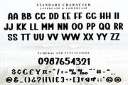 Vintage School, a Script Font by FreshTypeINK (Thumbnail 3 of 8)