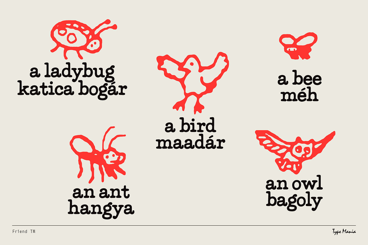 Friend TM – Chummy Slab, a Slab Serif Font by Type Mania (Photo 3 of 12)