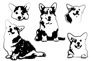 Cute Corgi Dog - black vector svg, an Animal Illustration by Watercolor_Vector Graphic (Thumbnail 7 of 7)