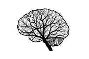 Brain Tree Knowledge Design Bundle, an Illustration by Gaye Art (Thumbnail 26 of 31)