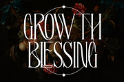 BLOWING PROPHECY - Absonstype, a Serif Font by Absonstype (Thumbnail 6 of 11)