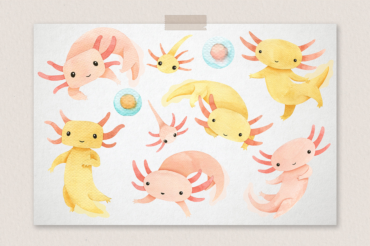 Cute Axolotl Clipart. Underwater, an Animal Illustration by LukaJreym (Photo 2 of 7)