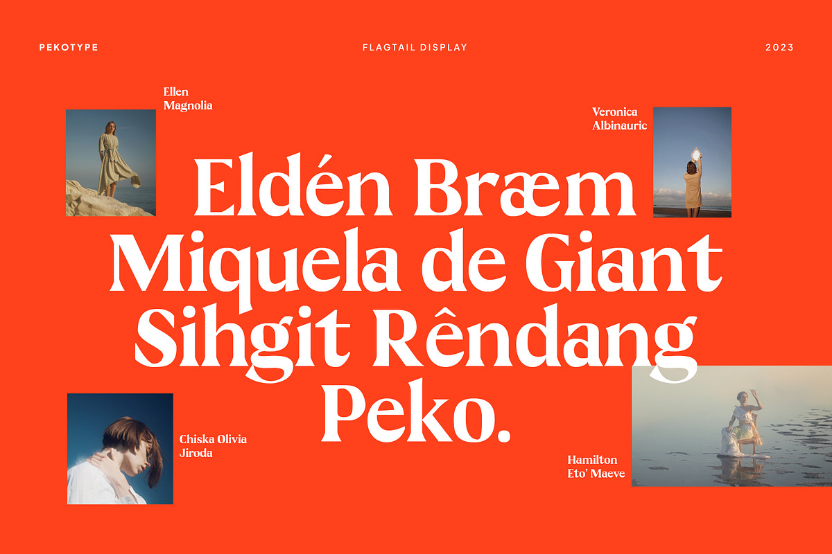 Flagtail Display - Modern Serif, a Serif Font by Pekotype (Photo 6 of 6)