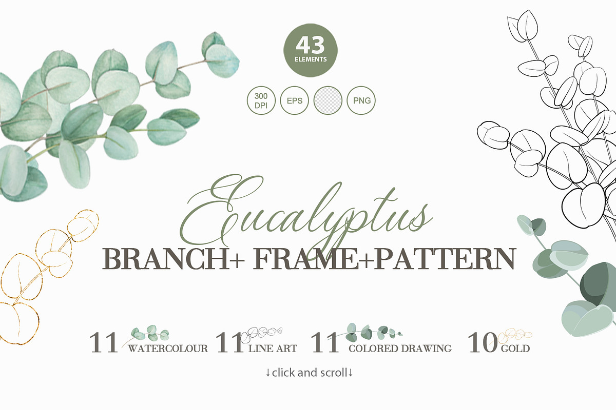 Eucalyptus branches, frames patterns, a Texture Illustration by Kotkoa (Photo 1 of 5)