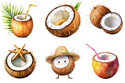 Summer Coconut Clipart Bundle, an Illustration by Pixels.Craft (Thumbnail 6 of 7)