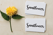 Sister | Script Font, a Script Font by Scratchones (Thumbnail 8 of 8)