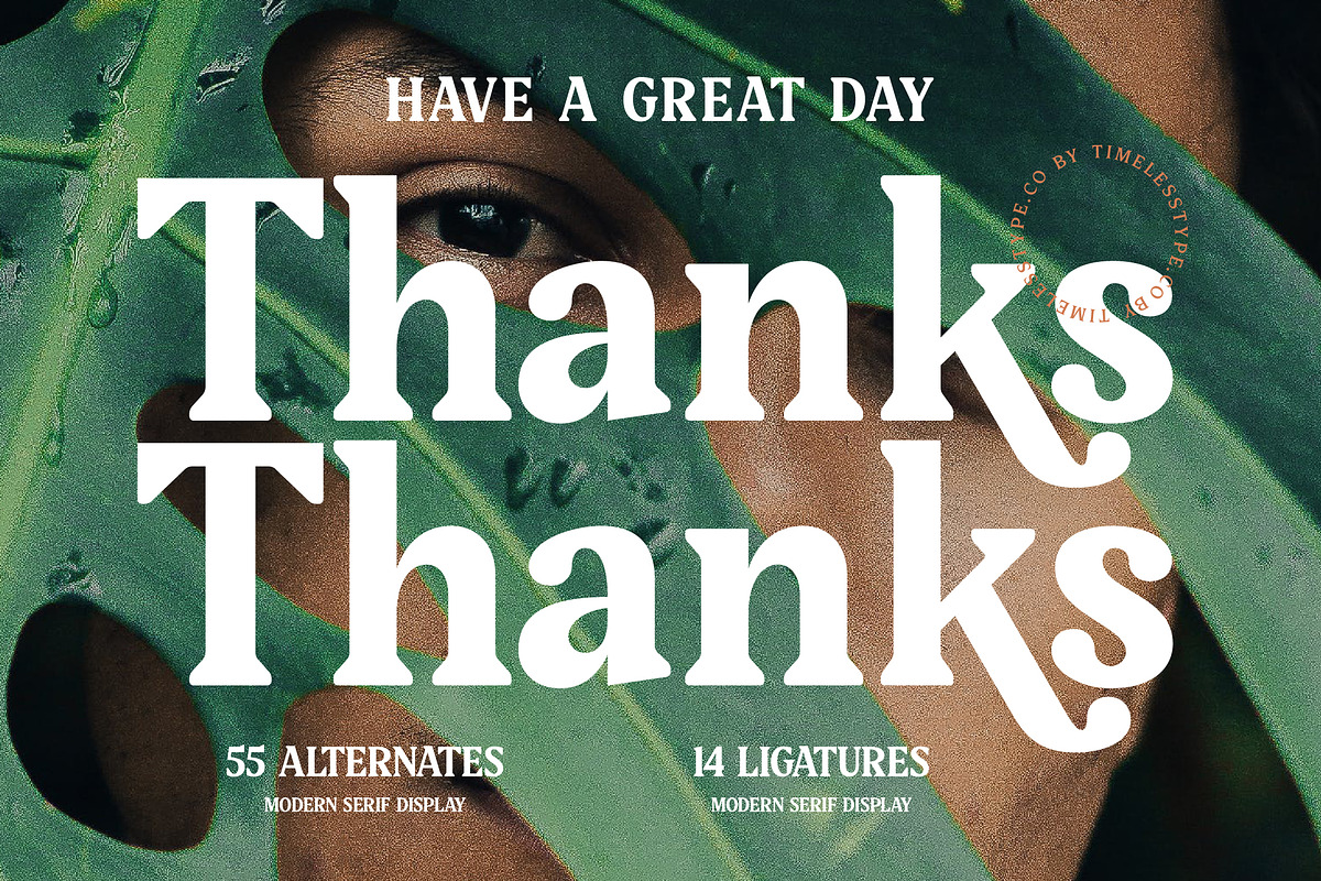 Gafjust Minfine Modern Serif, a Serif Font by timelesstype.co (Photo 20 of 20)