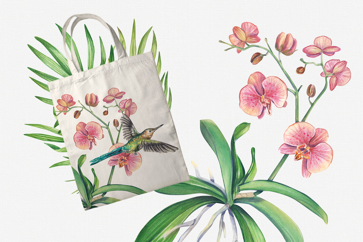 Tropic flower watercolor clip art, a Decorative Illustration by Nastya Che (Photo 9 of 9)