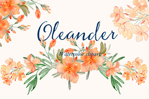 Oleander. Watercolor Clipart