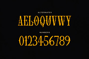 Flamberge Typeface, a Serif Font by Tugcu Design Co. (Thumbnail 3 of 3)