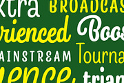 Snooker Script & Sans, a Script Font by Fenotype (Thumbnail 4 of 7)