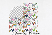 Butterfly Illustration PNG Bundle, a Seasonal Illustration by Daily.Designs (Thumbnail 2 of 5)