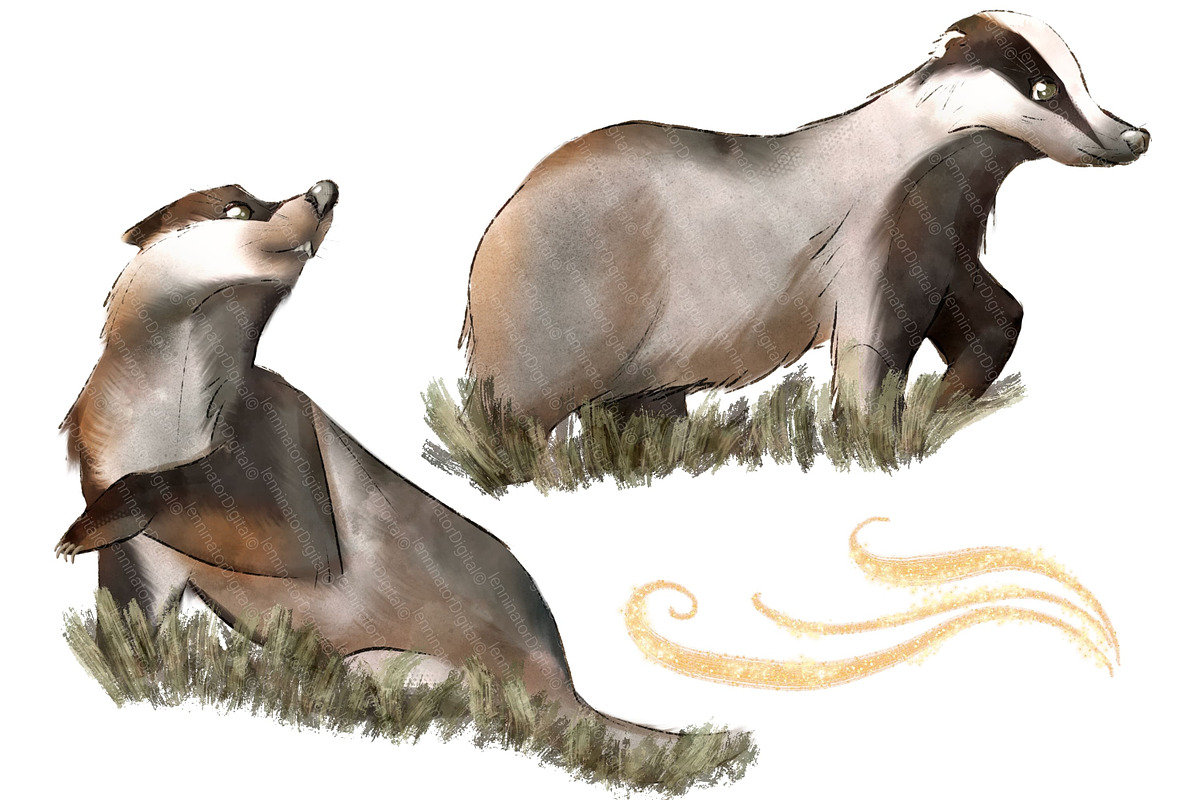 Badger Clipart PNG - Magic Forest, an Animal Illustration by Lenninator Digital (Photo 4 of 8)