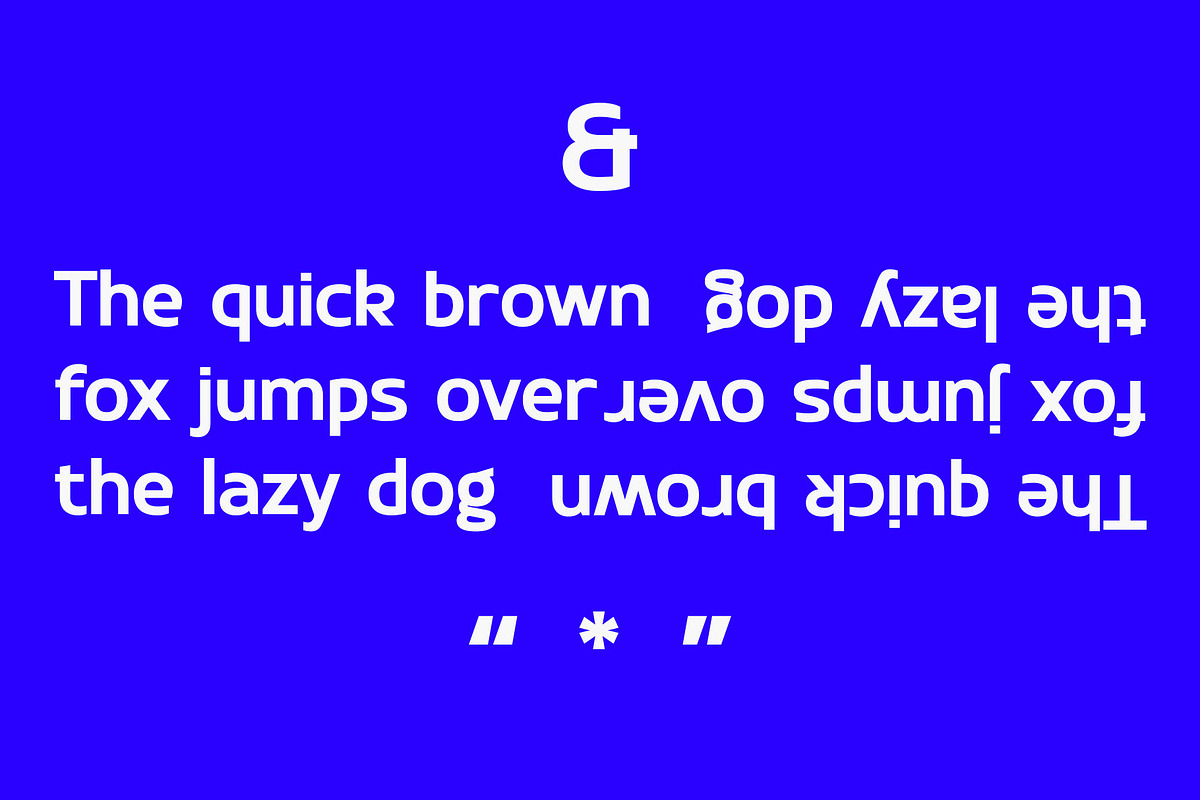 Delica - Modern Sans Serif, a Sans Serif Font by Typeformers (Photo 5 of 5)