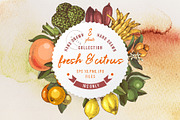 Natural food BUNDLE, a Food Illustration by handsketched (Thumbnail 11 of 26)