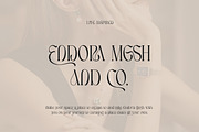 Caferinam Deco & Elegant Serif, a Serif Font by Cruzine (Thumbnail 2 of 10)