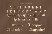 Emira - Unique Luxury Logo Font, a Serif Font by Sensatype (Thumbnail 9 of 12)