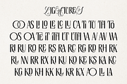 Lumera Editorial - An Elegant Serif, a Serif Font by Ainun Jinan (Thumbnail 11 of 11)